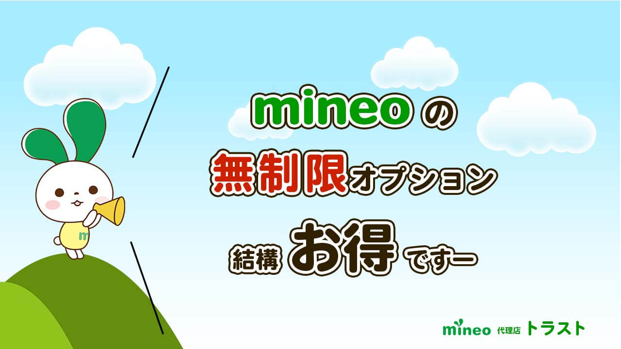 mineoの無制限プランとオプションについて解説します。mineoパートナー代理店トラスト